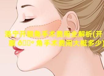 洛宁开眼角手术费用全解析(开眼 🌺 角手术费用大概多少)